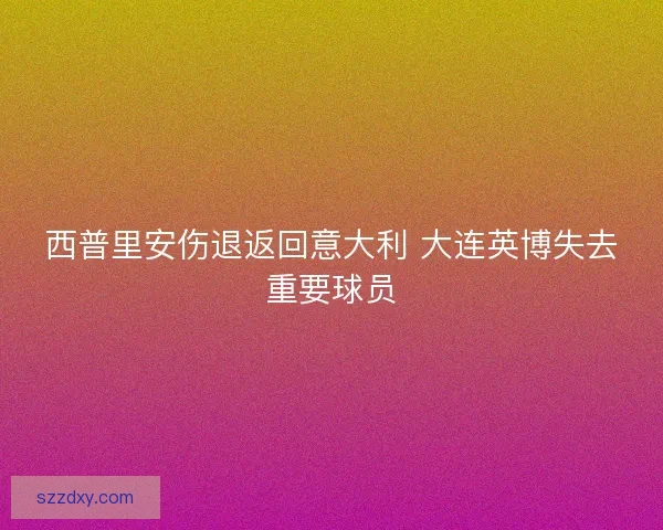 西普里安伤退返回意大利 大连英博失去重要球员